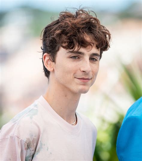 timothee chalamet hair products